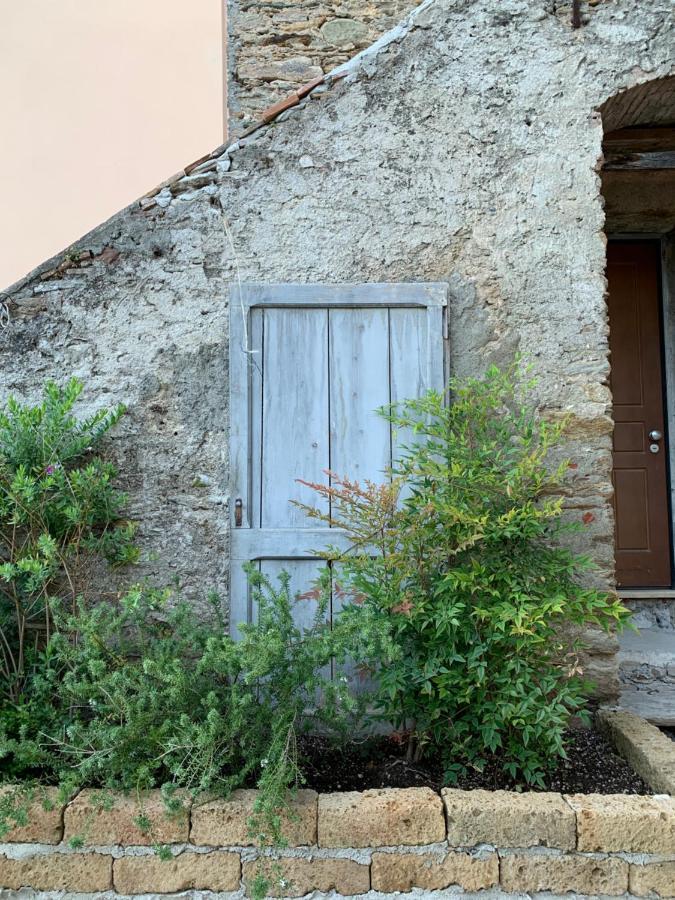 Tuscany House Of Artist Montignoso Bagian luar foto