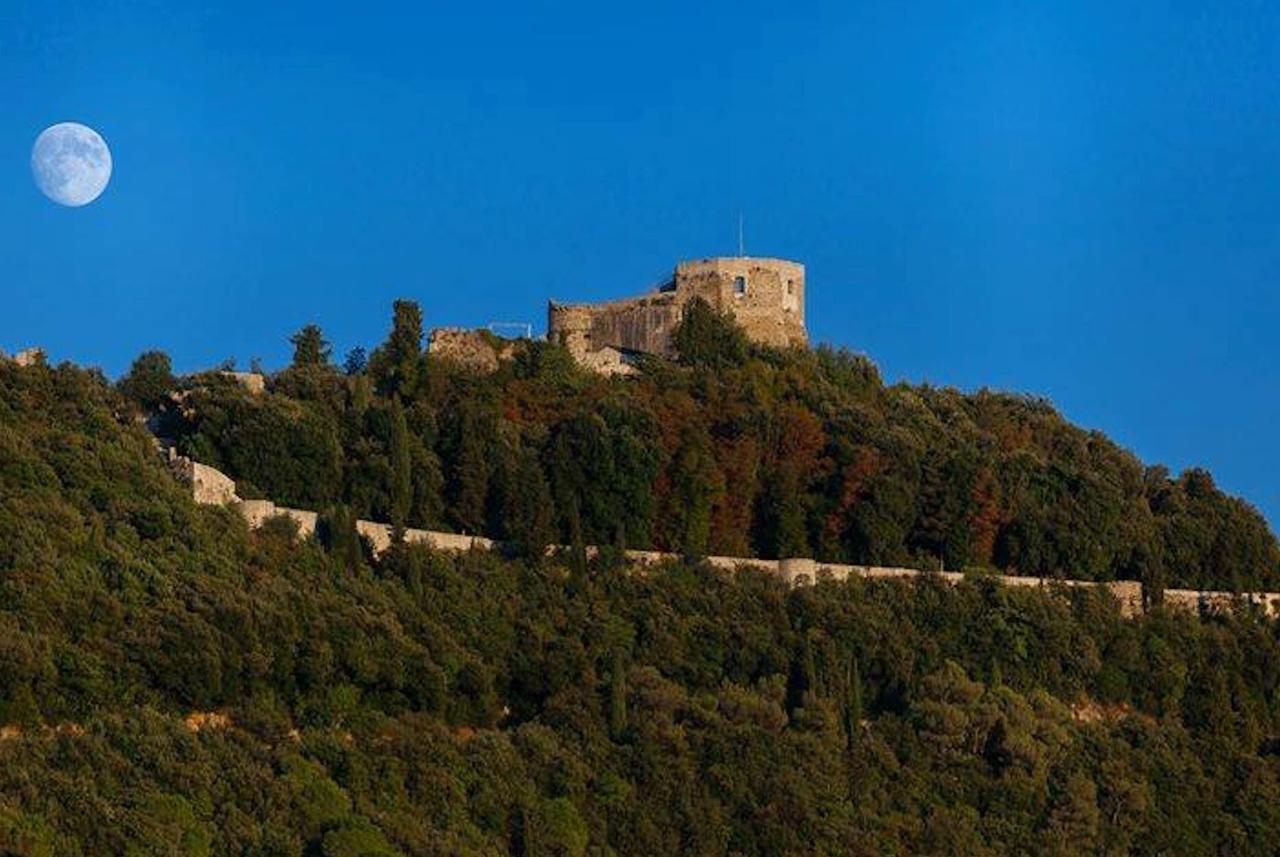 Tuscany House Of Artist Montignoso Bagian luar foto